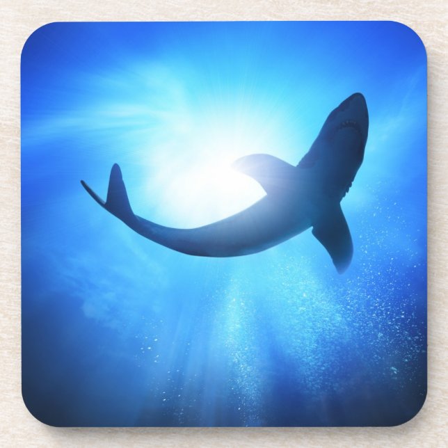 Deep Ocean Shark Silhouette Coaster (Front)