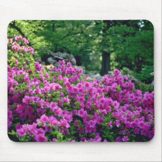 Deep Pink Azalea flowers Mouse Mat