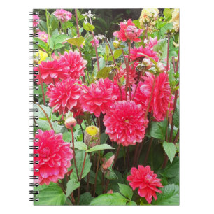 Deep Pink Dahlias Spiral Notebook