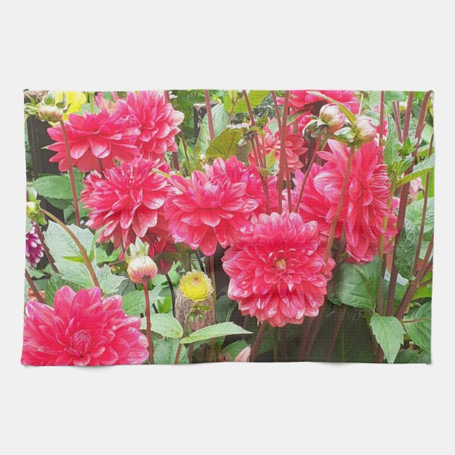 Deep Pink Dahlias Tea Towel (Horizontal)