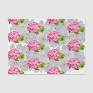 Deep Pink Hydrangea Tissue Paper