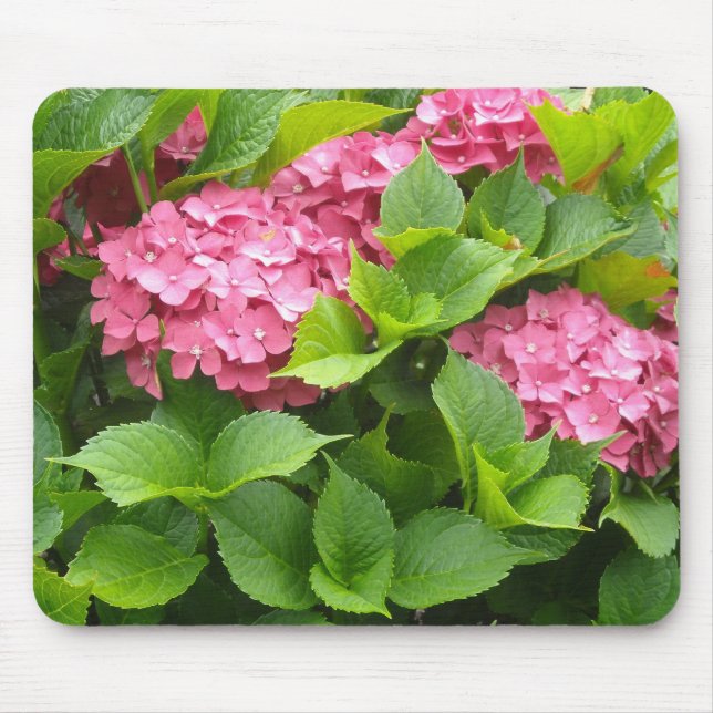 Deep Pink Hydrangeas Mouse Mat (Front)