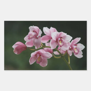 deep pink orchid rectangle sticker