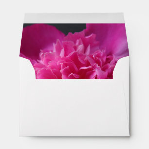 Deep pink peony on black envelope