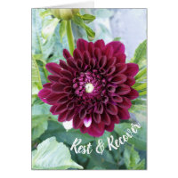 Deep Purple Dahlia Flower Rest and Recover Card