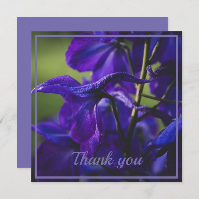 Deep Purple Delphinium Close Up Thank You Card (Front/Back)