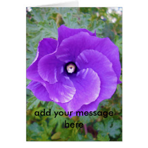 Deep Purple Hibiscus Flower,