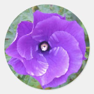 Deep Purple Hibiscus Flower, Classic Round Sticker