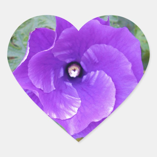 Deep Purple Hibiscus Flower, Heart Sticker (Front)