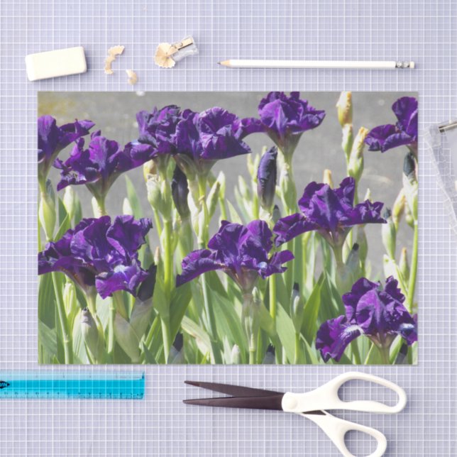 Deep Purple Irises Floral Tissue Paper (Craft)