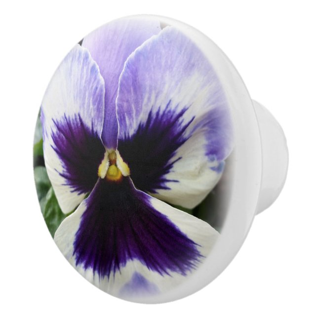deep purple on white pansy ceramic knob (Right)