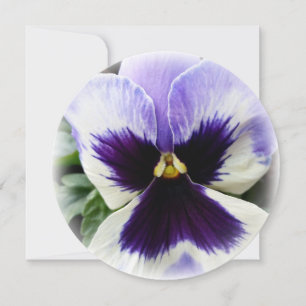 deep purple on white pansy invitation