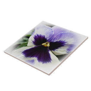 deep purple on white pansy tile