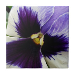 deep purple on white pansy tile
