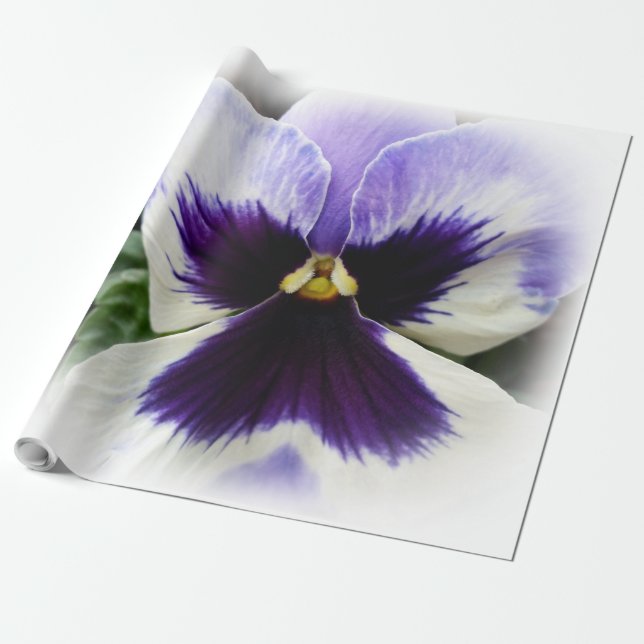 deep purple on white pansy wrapping paper (Unrolled)