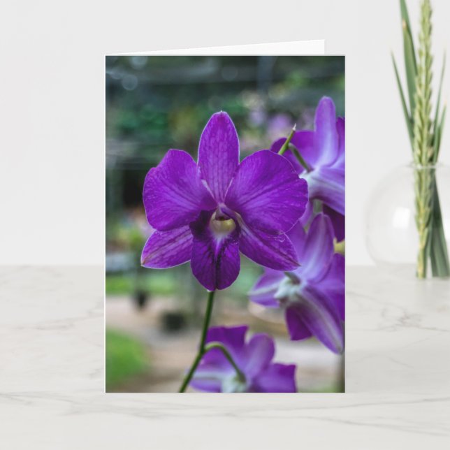 Deep Purple Orchid Customisable Greeting Card. Card (Front)