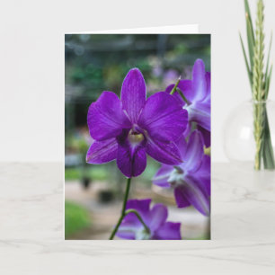 Deep Purple Orchid Customisable Greeting Card. Card