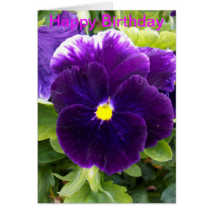 Deep Purple Pansy Birthday Card