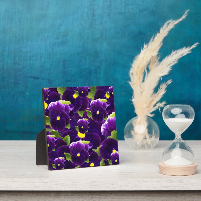 Deep Purple Pansy Bushes, Plaque (Insitu)