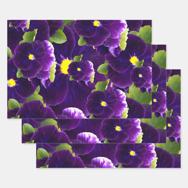 Deep Purple Pansy Bushes, Wrapping Paper Sheet (Set)