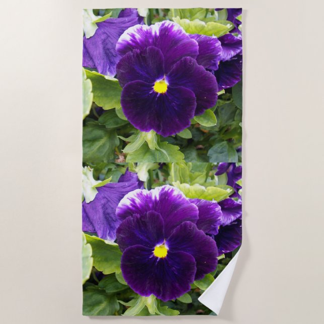 Deep Purple Pansy Plant, Beach Towel (Front)