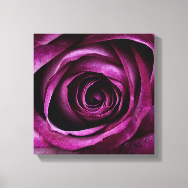 Deep Purple Rose Canvas Print (Front)