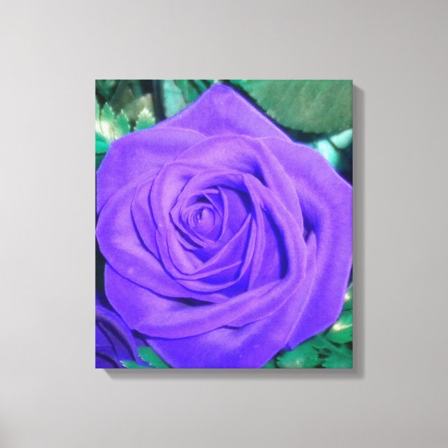 Deep Purple Rose Wrapped Canvas (Front)