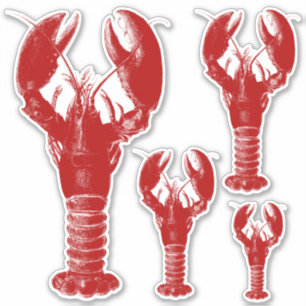 Deep Red and White Lobster