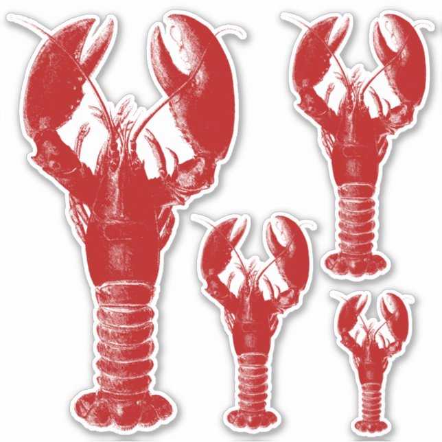 Deep Red and White Lobster (Front)