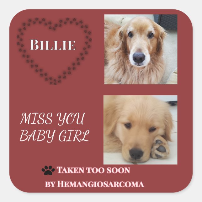 Deep Red Hemangiosarcoma Tribute Square Sticker (Front)