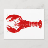 Deep Red Lobster on White