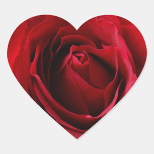deep red rose heart sticker