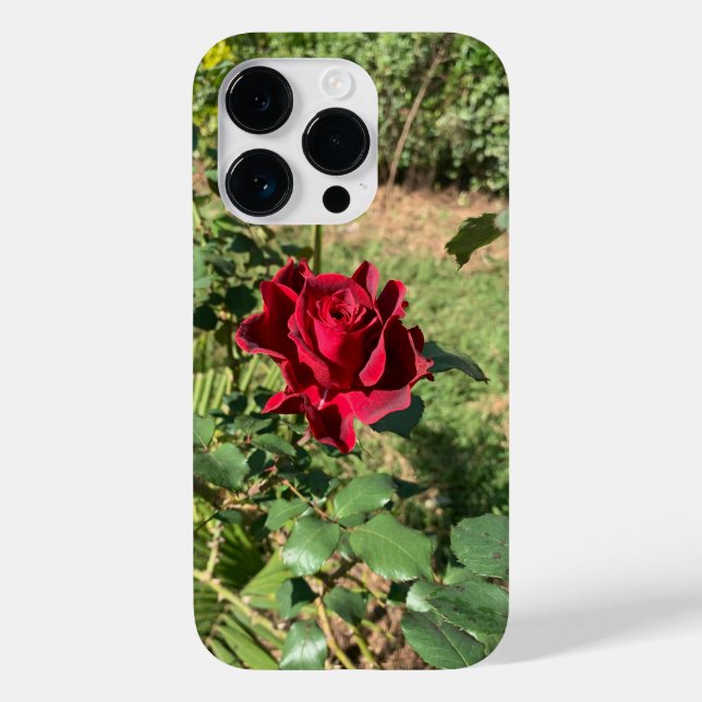 Deep Red Rose iPhone 14 Pro Case (Back)