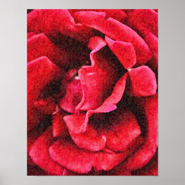 Deep Red Rose Photograph Art Print (Front)