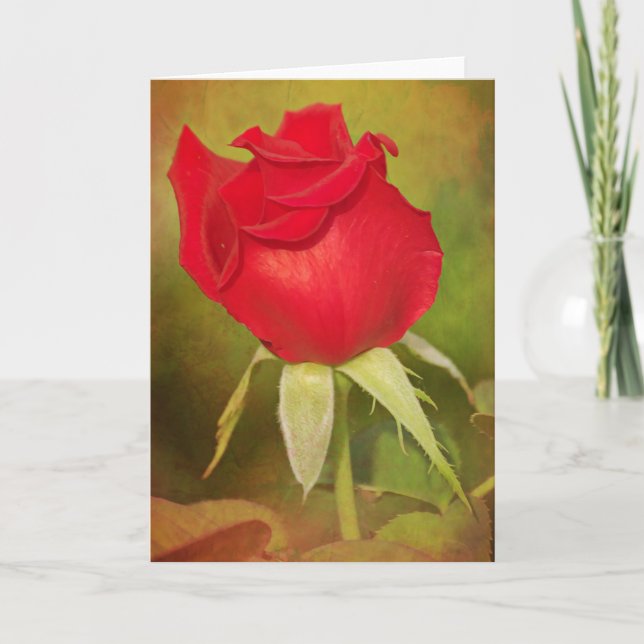 Deep Red Rose Scripture Card James 1:17 (Front)