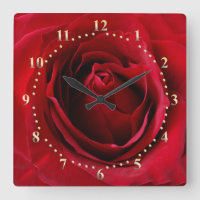 deep red rose