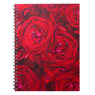 Deep red roses pattern notebook