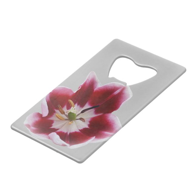 Deep red tulip (Front Angled)