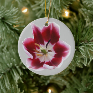Deep red tulip ceramic tree decoration