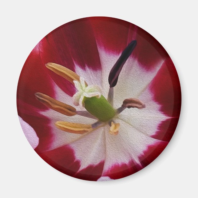 Deep red tulip magnet (Front)