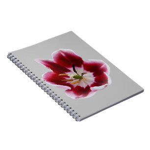 Deep red tulip notebook