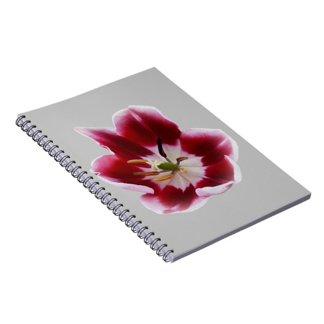 Deep red tulip notebook (Right Side)