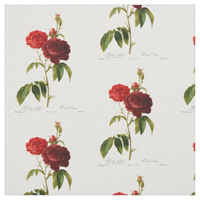 Deep red vintage roses painting fabric (Swatch)