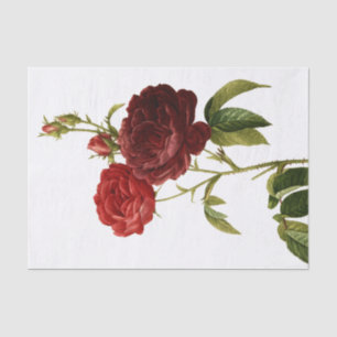 Deep red vintage roses painting tissue paper