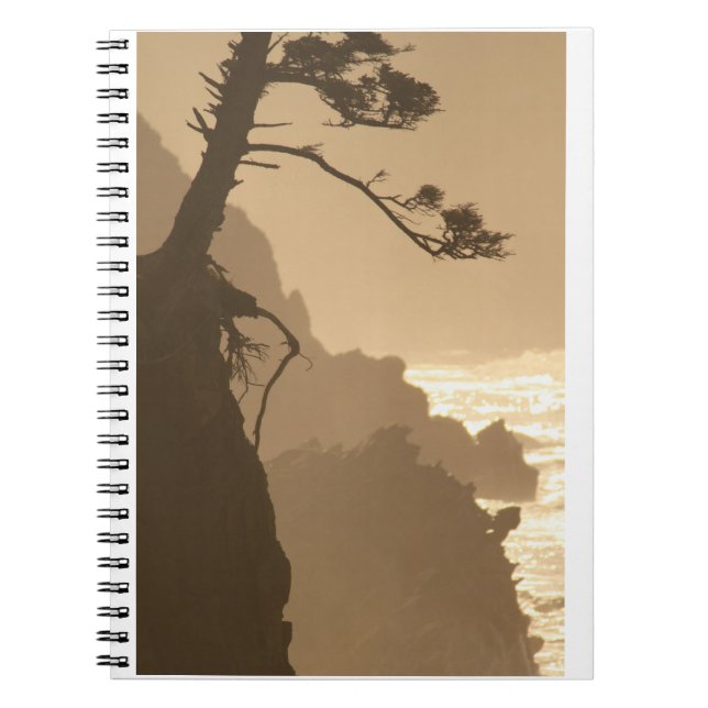 Deep Roots Notebook (Front)