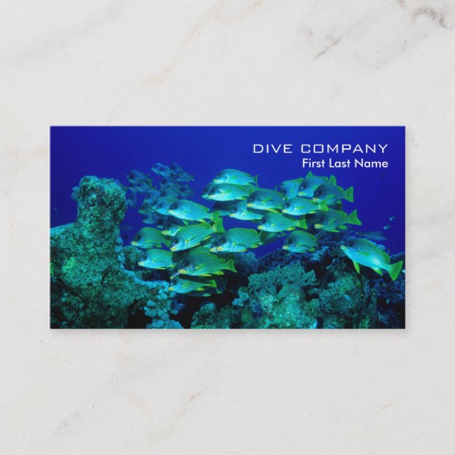 Deep sea fishes diving company business cards (Front)