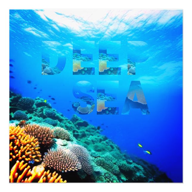 DEEP SEA PHOTO PRINT (Front)