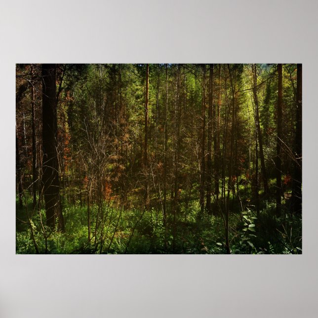 Deep Siberia 2 Poster (Front)