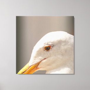 Deep Thinking Canvas Print