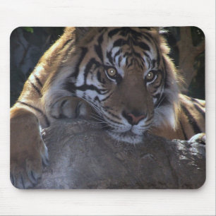 Deep Thought Mouse Mat